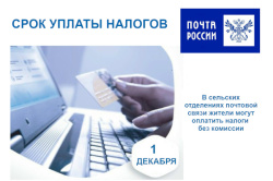 1 декабря 2025 года - срок уплаты имущественных налогов